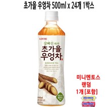 롯데칠성 초가을 우엉차 500ml x 24개입, 24개