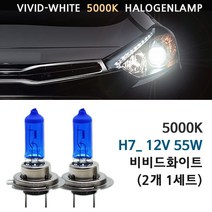 5000K 비비드화이트 현대 아반떼XD 00-03년 전조등 상향등 하향등 안개등 자동차램프, 1세트, 5000K 아반떼XD 하향등 H7(2개1세트), H7