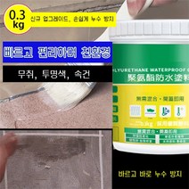 (1+1) 초강력 투명 방수본드아크릴 플라스틱 초강방수력 투명도높음 내열성탁월 /브러시, 0.3KG*2