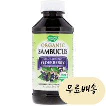 네이쳐스웨이 삼부커스 시럽 약 120ml, 1개