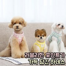러브독 강아지 위드엔젤 순면 메쉬 하네스(리드줄 포함) 가슴줄, 핑크