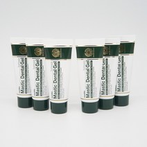 매스틱 덴탈 젤 효도치약 6개세트 고햠량 잇몸케어 항균99.9% 잇몸마사지