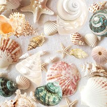 한소픈 여름 장식 소품 조개 소라 껍질 48종 모음 여름디스플레이 인테리어 테마소품 자연 제품 고동, 19.점박이고동_중