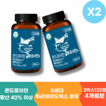콘드로이틴 콘도로이틴 콘드로이친 글루코사민 효능 2박스