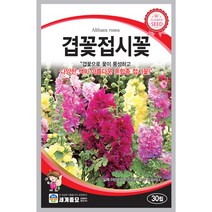 겹꽃 접시꽃 씨앗 겹접시꽃 hollyhock seeds 30알