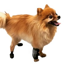 [미라이프] 오르토카니스 강아지앞다리보호대 앞발 앞발목 보호대 관절보호대 훈련용 ORT016, XL