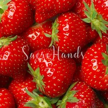 새로핸즈 플레이버오일 딸기향 식향 100ml, 단품