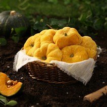 리얼 단호박빵 90g x 15개입 국내산 간식, 단호박빵 90g x 15개입 x 3봉