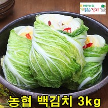 맛있는 백김치 3kg 국산 농협 배추백김치, 100% 국내산 백김치 3kg