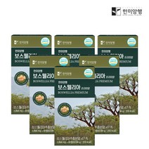 관절건강 보스웰리아 한미양행 정품 60정 6박스 총 12개월분 대용량 good, 6개