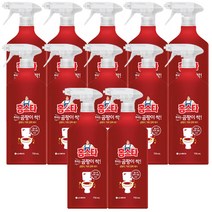 홈스타 뿌리는 곰팡이싹 750ml / 염소계 표백성분 함유, 12개입