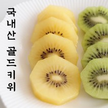 [친환경키위] 느영나영 무농약 인증 제주도 그린키위, 1.5kg(17~21입), 1개