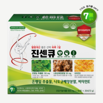 진센큐 은행잎추출물 나토키나제 혈액순환 혈행 기억력 개선 영양제, 600mg, 120정