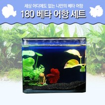 피알피쉬 180 베타 어항 세트, 블랙다이아몬드