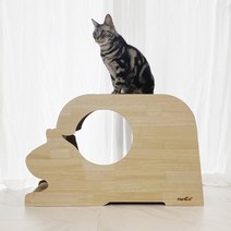 [블루캣] 스크래쳐 캣타워 먼치킨_//고양이집/원목/펄프, 상세 설명 참조