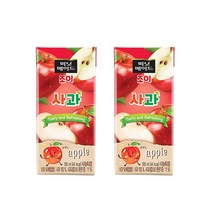EJL 미닛메이드 조이사과 195ml x 24개 사과주스 웰빙 [CN | FF18], 쿠팡4 1, 쿠팡4 1