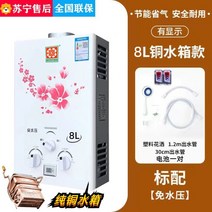 가정용 가스온수기 중형 소형 순간식 용량 LPG 10리터, 천연 가스, 가스온수기-8L