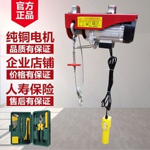220V 가정용 소형 크레인 1톤 호이스트 윈치 리프트, 150-300kg 12미터 [3세트]