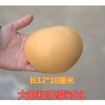 박바가지 개업 기념품 장식품 전통주잔 물바가지 천연 박 박 얼굴 마스크 연습 손 박 박