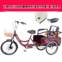 고령자용 세발자전거 전동보조 여객 화물겸용, 표준형 20A 리튬배터리 + 어시스트