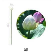 JINGHENG 연꽃조화 꽃 인테리어조화나무 도매 인테리어 공연소품, AU