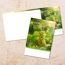 교회주보 예배 주보용지 3단6면 주보지 안내지 전도지 절기 부활절 추수감사 맥추감사 성탄절 신년감사 디자인 기독교용품, EW-07