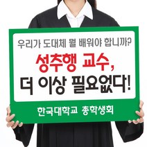 카시드 폼보드 판 피켓(50*37.5cm_60*45cm) 시위 데모 1인시위 홍보 팻말 표지판 안내판 표시판, 폼보드10mm(50*37.5cm)