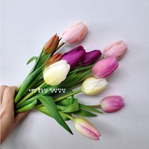 [필랑말랑] 튤립 생화 컬러믹스 10대 15대 꽃농장직배송 태안꽃농장 화훼농가돕기 농장직송꽃, 튤립: 컬러믹스10대