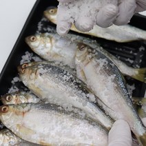 삼천포 국내산 전어구이용 구이용 여름전어 가을전어 손질 자연산 전어 전어구이 산지직송 1kg 15미내외, 삼천포 전어 구이용 (1kg/15미 내외)