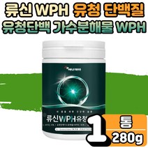 가수분해 농축 유청 단백 타먹는 마시는 protein 류신 루신 뮤신 유신 뉴신 단백질 프로틴 식사대용 쉐이크 농축 분말 WPC BCAA BACC 푸로틴 보충제 초등 수험생 1봉