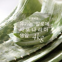 [무료배송]유기농 알로에 사포나리아 4kg/알로에 생잎/맛있는 알로에 / 한림알로에