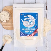 WPI 분리유청 단백질 분말 가루 500g, 1개입