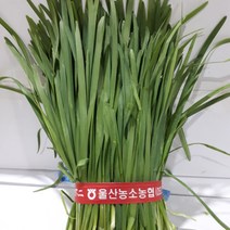 새벽들 부추1단(400g내외), 1단, 400g