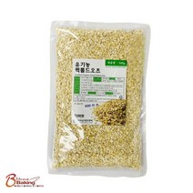 이홈베이킹 유기농오트밀500g, 1개, 500g