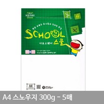 A4 스노우지(표면광택) A14 평량 300g 5매