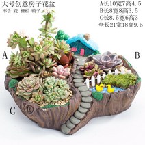 다육이 미니화분 칼란디바 아악무 사랑목 이색 화분, O