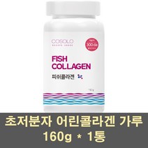 저분자 콜라겐펩타이드 피쉬콜라겐 가루 수용성 마린콜라겐 엘라스틴 다이 펩타이드 300달톤 어린 어류 먹는 초저분자 히알루론산 이너뷰티 100프로, 1통, 160G