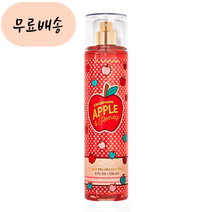 SG솔루션 BBW 배쓰앤바디웍스 샴페인 애플 앤 허니 바디미스트, 1개