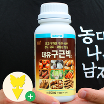 [농대나온남자] 구근빅 500ml 대유 감자 고구마 마늘 양파 구근 비대제 식물 영양제 복합비료, 1개