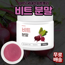 진도 비트분말 레드비트 폴리페놀 비트가루효능 식이섬유 베타시아닌 미네랄 각종비타민다량함유 해독작용 소염작용 피부미용 위장건강개선 콜레스테롤 개선, 250g X 1병