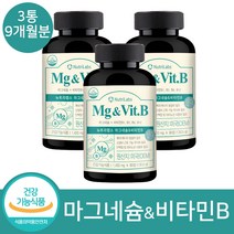 미국산 고함량 마그네슘 비타민B 컴플렉스 신경 근육 기능 유지 활력에너지 눈떨림 영양제 사은품 증정, 3개