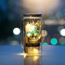 아르띠콜로 장미꽃 LED 크라프트 편지지 선물 세트, 블루+편지지