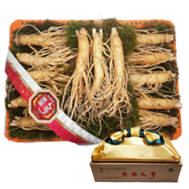 대한인삼사 인삼선물세트 풍기인삼 750g, 풍기인삼 11~15뿌리 750g
