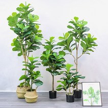 썸띵 떡갈 고무나무 조화 인테리어 화분, 떡갈잎 고무나무 180cm