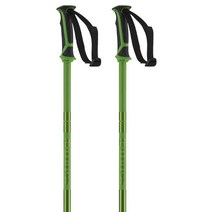 살로몬 스키폴대 Salomon 폴란드 Arctic, 110cm 그린