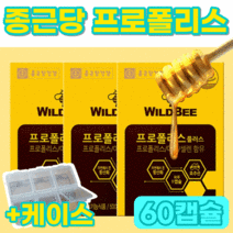 종근당 건강 프로폴리스 포로폴리스 식약처 인증 식약청 인정 벌꿀 항산화 아연 면역 도움 영양제 호주산 구강 목에좋은 목 환절기 편도 고함량 대용량 캡슐 그린 알약 사은품 증정, 60정, 1개