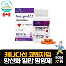 코큐텐 60캡슐 캐나다산 코엔자임Q10 항산화 활력있는하루 혈압낮추는법 고혈압 영양제