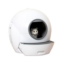 와이파이 고양이 배변 상자 앱 제어 패드 분지 5L 자동 화장실 자기 청소 Arenero Gato Cerrado 반려동물