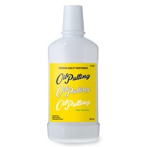 오일풀링 자몽향 가글액(알란토인) 500ml 2개입 세트 (유통기한 23년 5월 19일까지), 단품