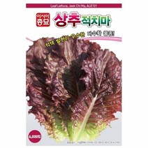 적치마상추(3000립)